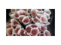 Ingrosso fiori